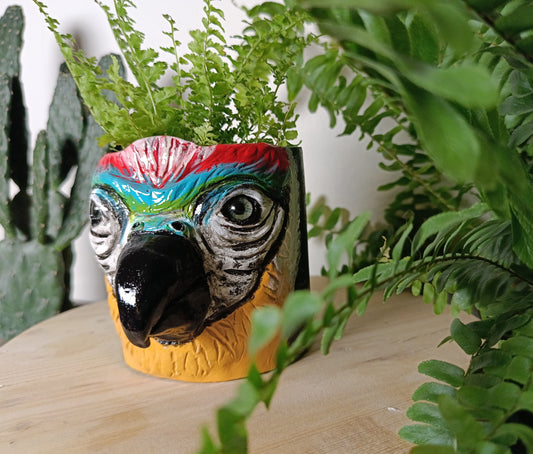 Premade Parrot Pot