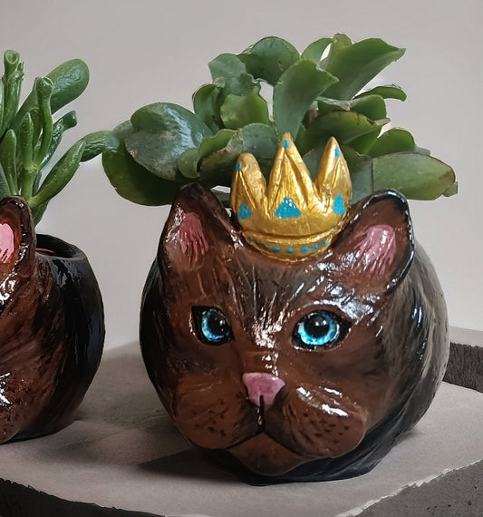 Design cat pot with golden crown